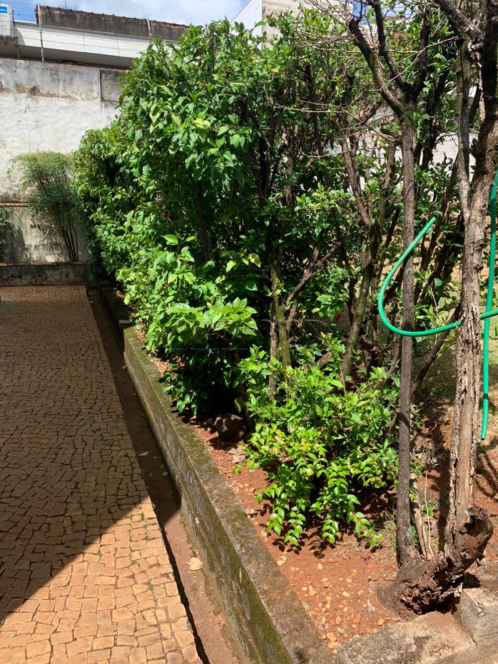 Alugar Casa / Padr&atilde;o em Ribeir&atilde;o Preto R$ 9.000,00 - Foto 32