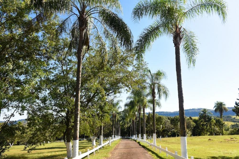 Comprar Rural / S&iacute;tio em C&aacute;ssia dos Coqueiros R$ 7.000.000,00 - Foto 4