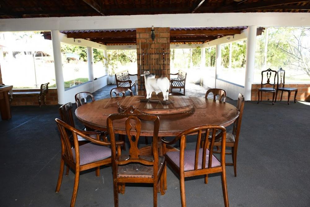 Comprar Rural / S&iacute;tio em C&aacute;ssia dos Coqueiros R$ 7.000.000,00 - Foto 22