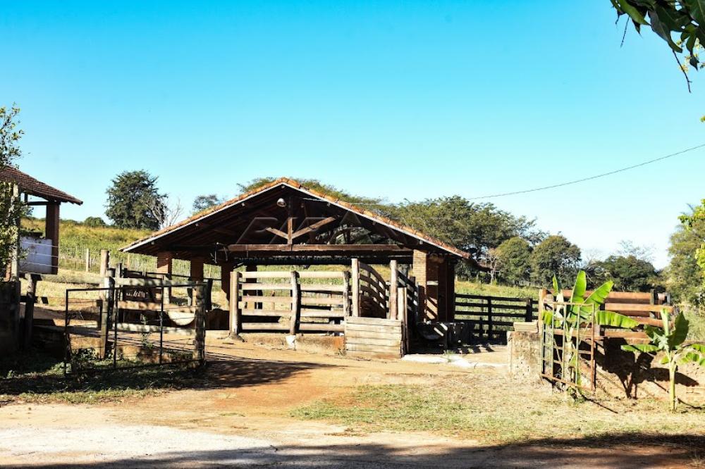 Comprar Rural / S&iacute;tio em C&aacute;ssia dos Coqueiros R$ 7.000.000,00 - Foto 32