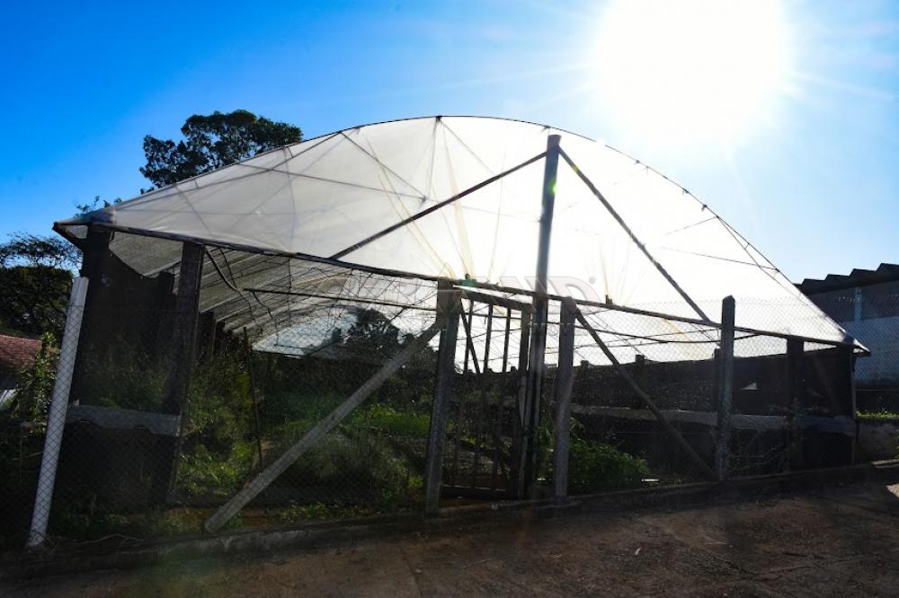 Comprar Rural / S&iacute;tio em C&aacute;ssia dos Coqueiros R$ 7.000.000,00 - Foto 34