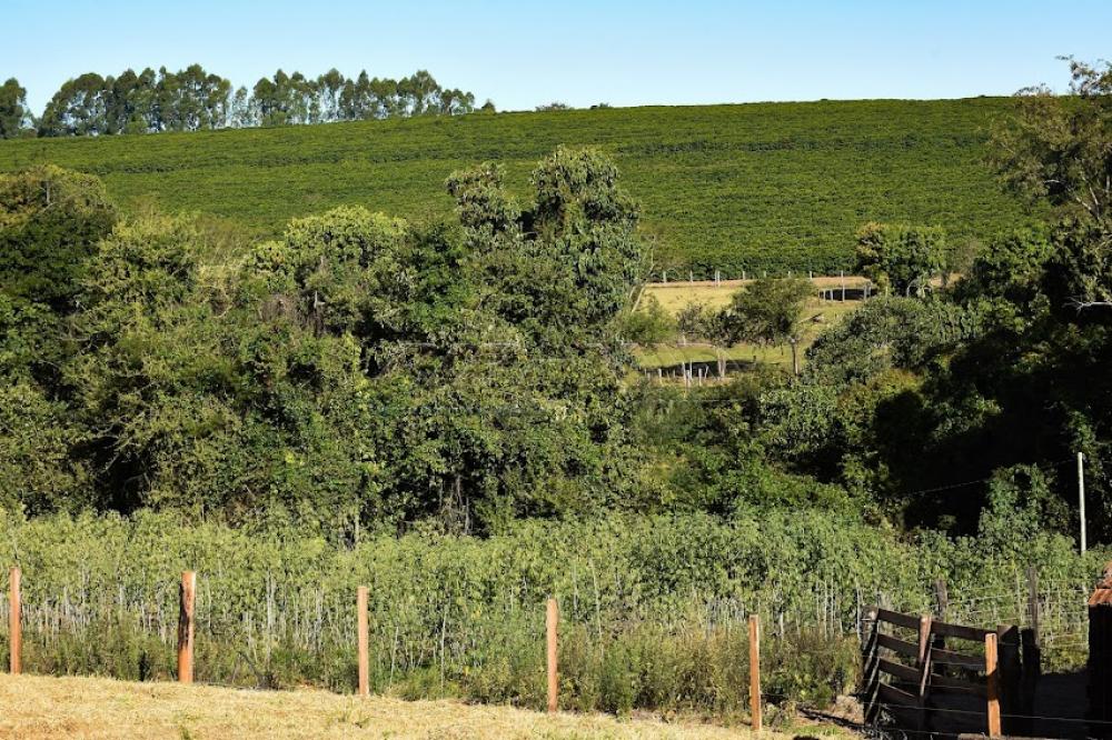 Comprar Rural / S&iacute;tio em C&aacute;ssia dos Coqueiros R$ 7.000.000,00 - Foto 36