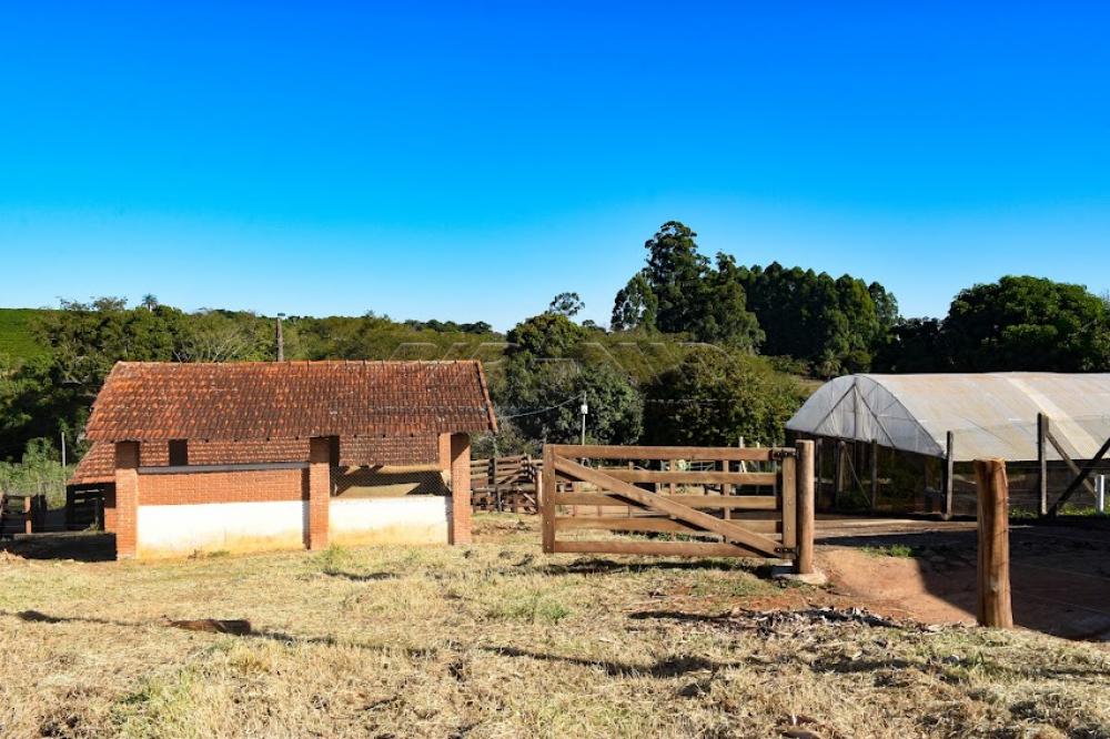 Comprar Rural / S&iacute;tio em C&aacute;ssia dos Coqueiros R$ 7.000.000,00 - Foto 37