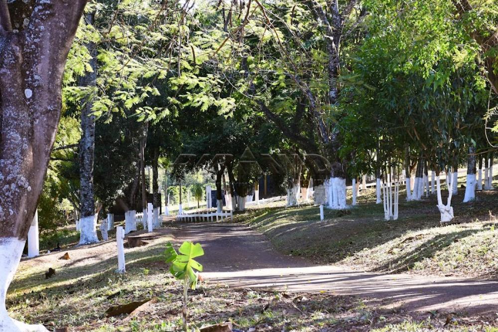 Comprar Rural / S&iacute;tio em C&aacute;ssia dos Coqueiros R$ 7.000.000,00 - Foto 38