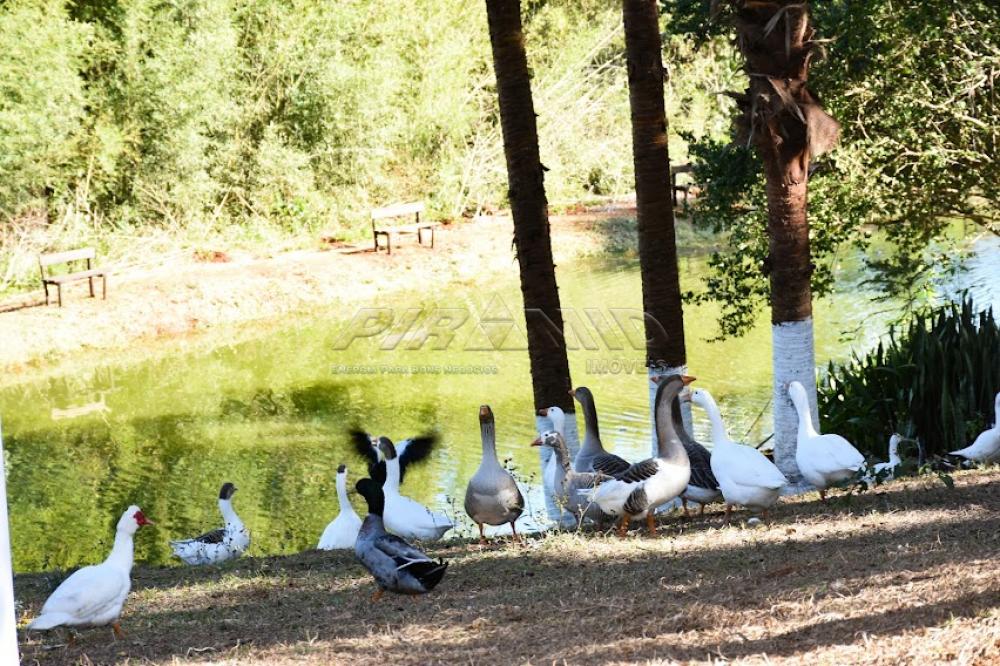 Comprar Rural / S&iacute;tio em C&aacute;ssia dos Coqueiros R$ 7.000.000,00 - Foto 39