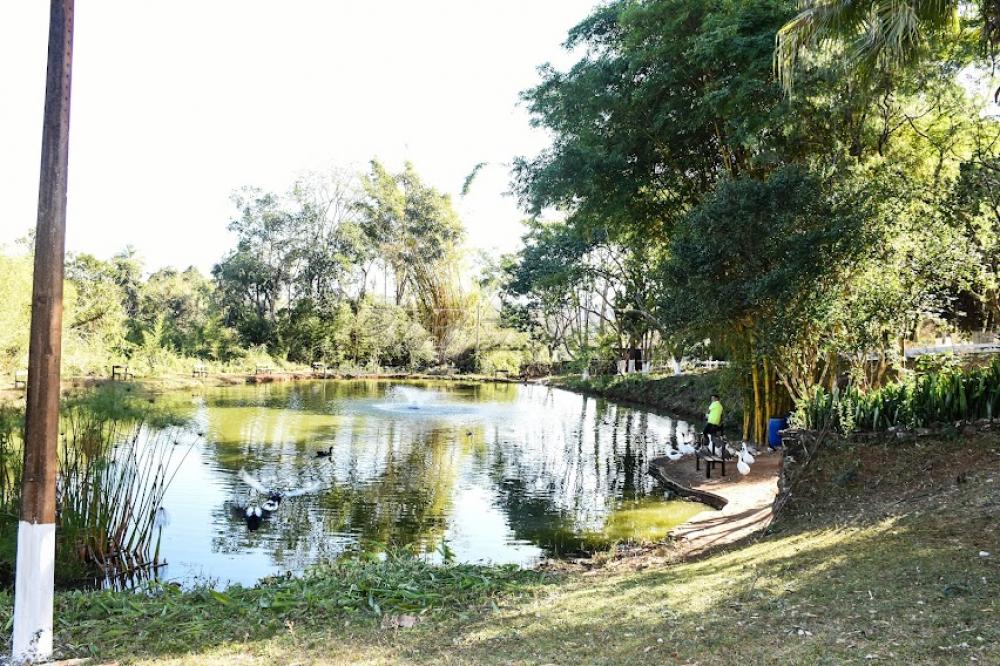 Comprar Rural / S&iacute;tio em C&aacute;ssia dos Coqueiros R$ 7.000.000,00 - Foto 42