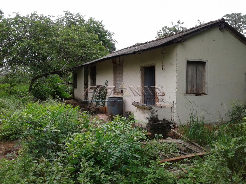 Comprar Terreno / &Aacute;rea em Ribeir&atilde;o Preto R$ 1.100.000,00 - Foto 5