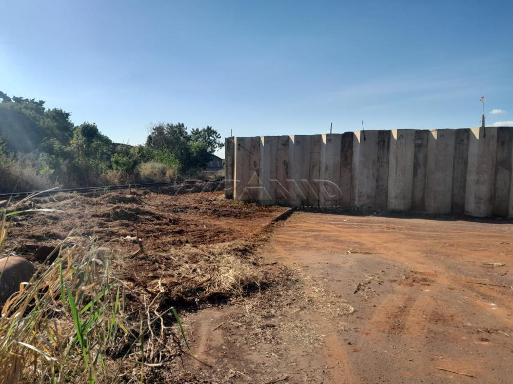 Alugar Terreno / Terreno em Ribeir&atilde;o Preto R$ 15.000,00 - Foto 1