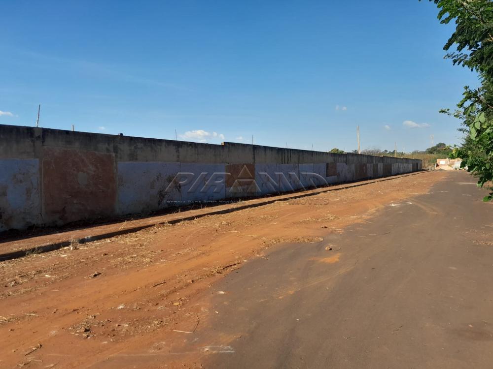 Alugar Terreno / Terreno em Ribeir&atilde;o Preto R$ 15.000,00 - Foto 3