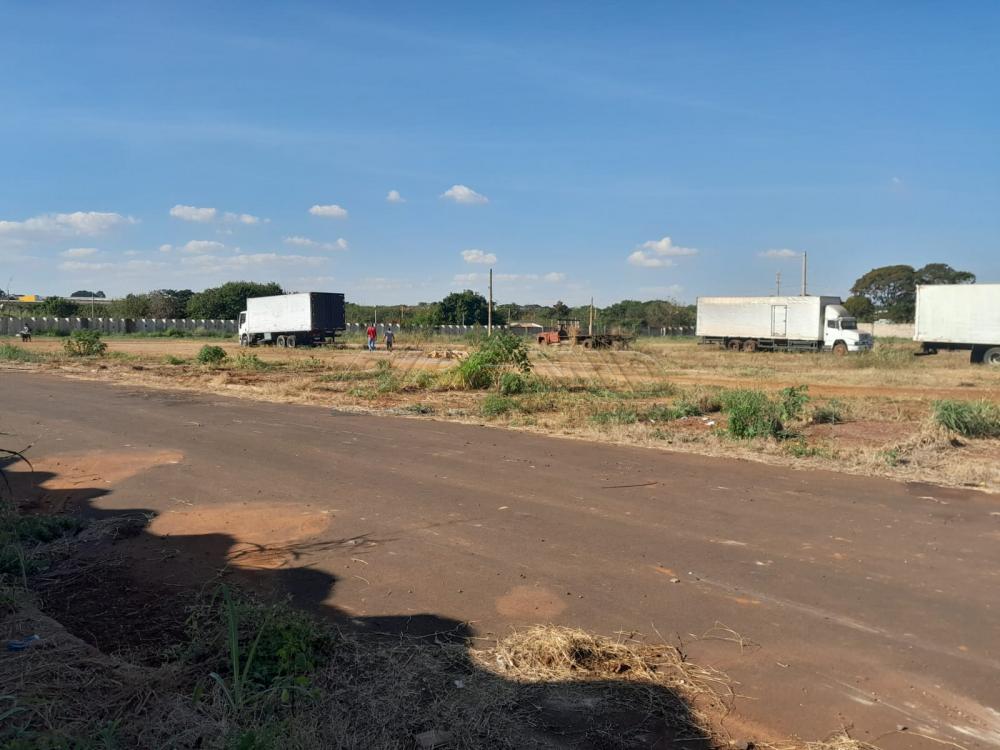 Alugar Terreno / Terreno em Ribeir&atilde;o Preto R$ 15.000,00 - Foto 4