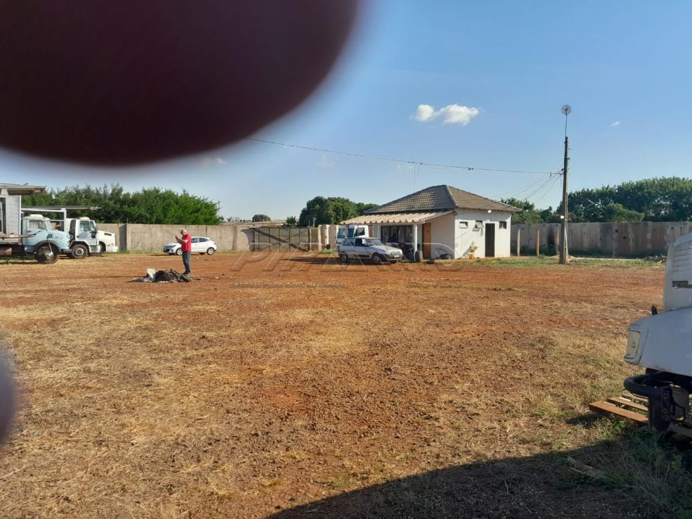 Alugar Terreno / Terreno em Ribeir&atilde;o Preto R$ 15.000,00 - Foto 8