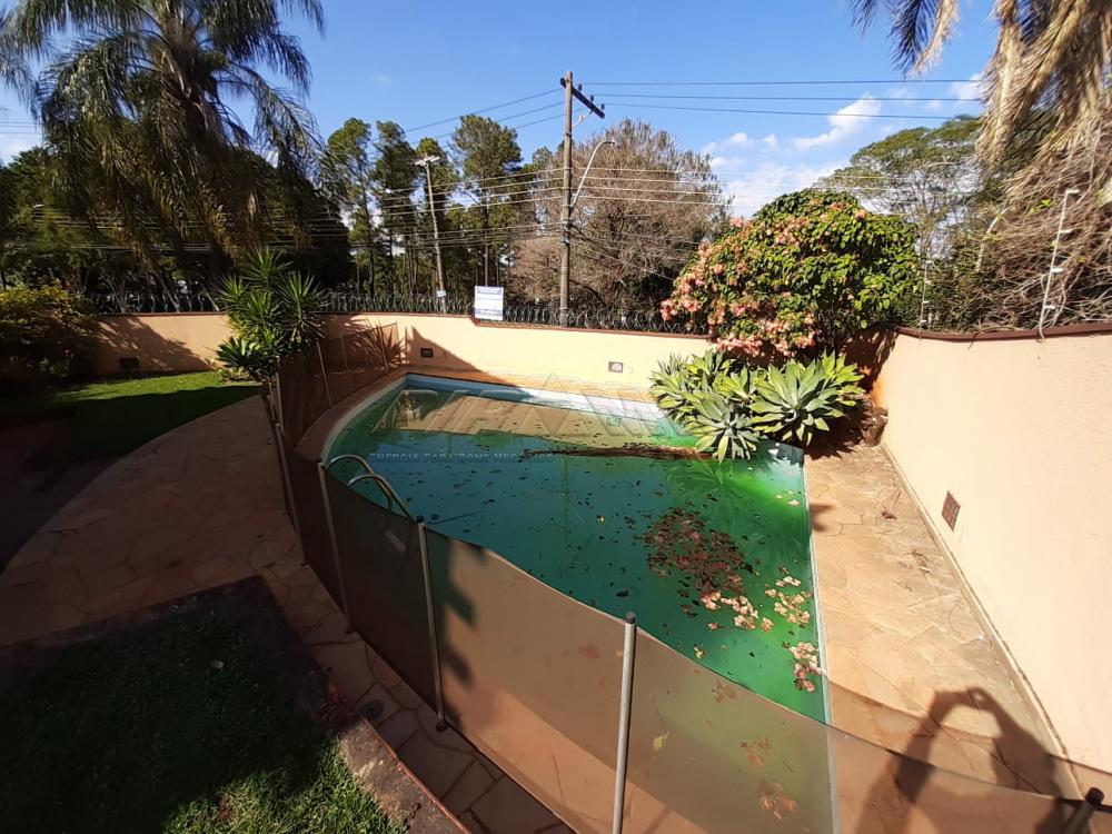 Alugar Casa / Padr&atilde;o em Ribeir&atilde;o Preto R$ 8.000,00 - Foto 22