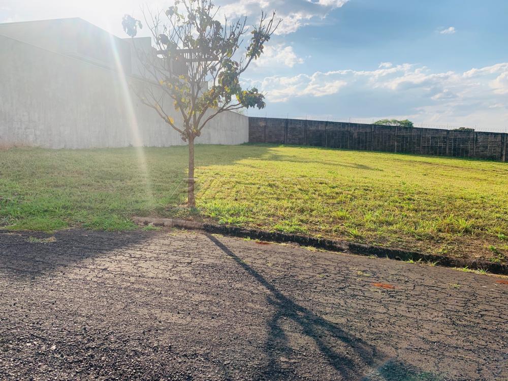 Comprar Terreno / Condom&iacute;nio em Bonfim Paulista R$ 646.740,00 - Foto 3