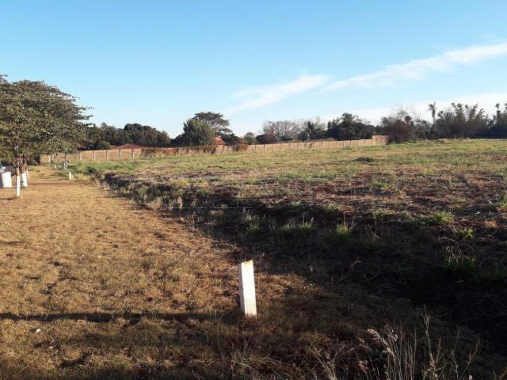 Comprar Terreno / Terreno em Ribeir&atilde;o Preto R$ 1.400.000,00 - Foto 2