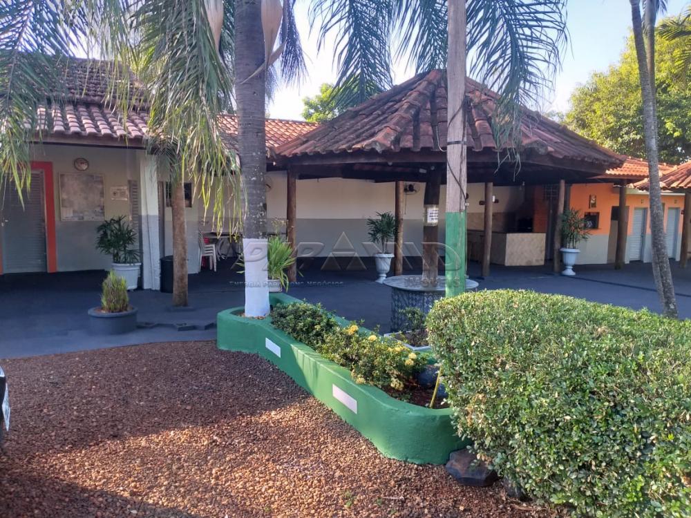 Alugar Rural / Ch&aacute;cara em Ribeir&atilde;o Preto R$ 4.500,00 - Foto 17