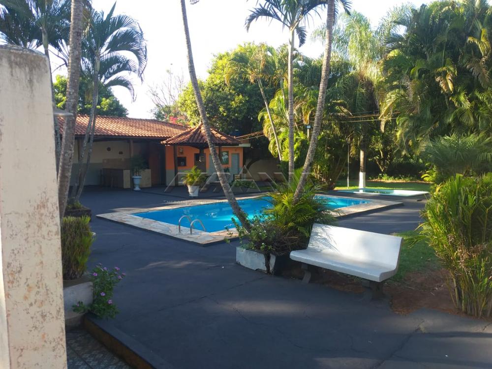 Alugar Rural / Ch&aacute;cara em Ribeir&atilde;o Preto R$ 4.500,00 - Foto 18