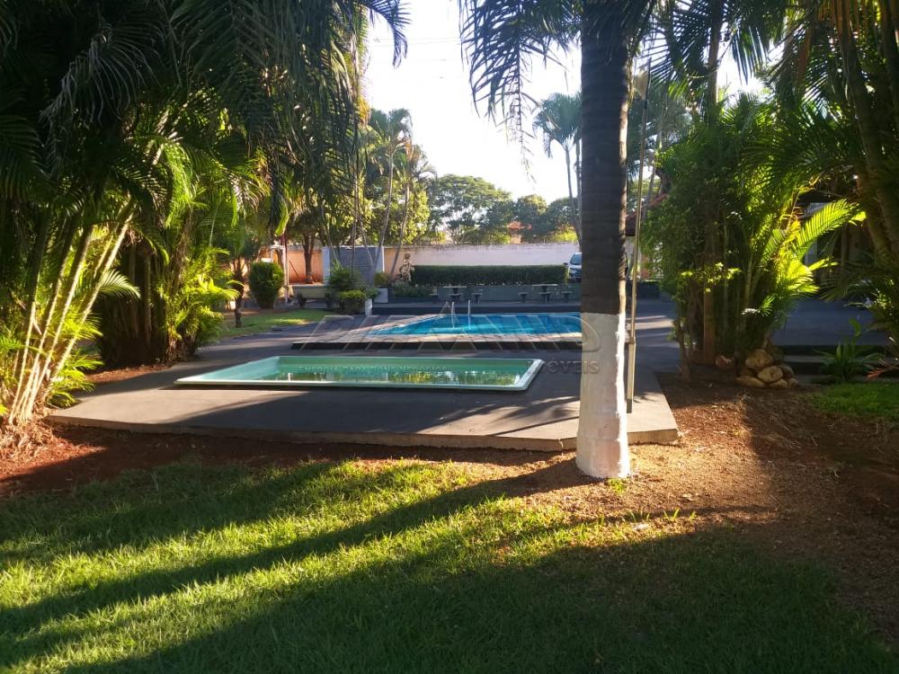 Alugar Rural / Ch&aacute;cara em Ribeir&atilde;o Preto R$ 4.500,00 - Foto 19