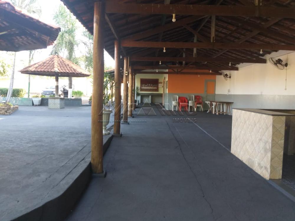 Alugar Rural / Ch&aacute;cara em Ribeir&atilde;o Preto R$ 4.500,00 - Foto 24