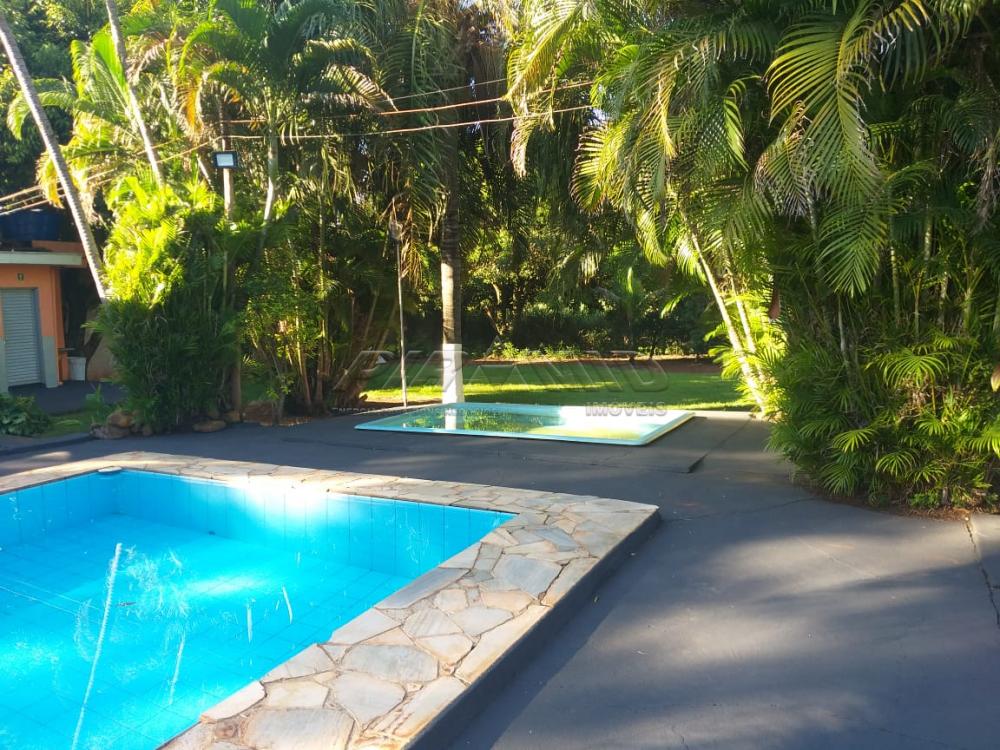 Alugar Rural / Ch&aacute;cara em Ribeir&atilde;o Preto R$ 4.500,00 - Foto 26