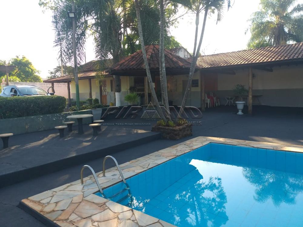 Alugar Rural / Ch&aacute;cara em Ribeir&atilde;o Preto R$ 4.500,00 - Foto 29