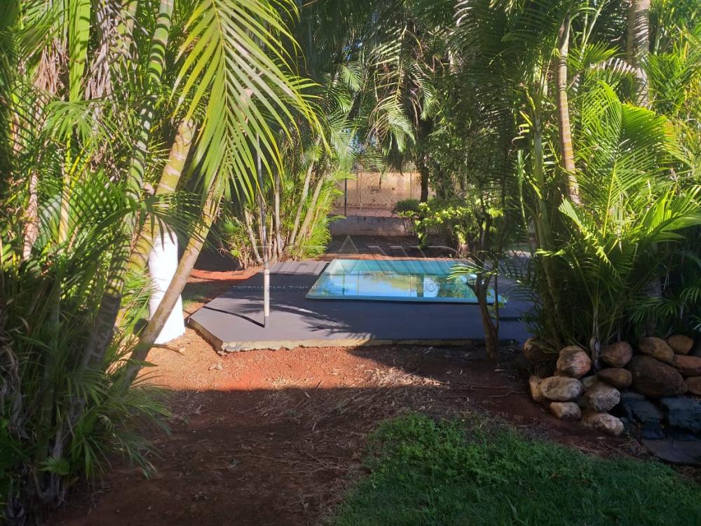 Alugar Rural / Ch&aacute;cara em Ribeir&atilde;o Preto R$ 4.500,00 - Foto 37