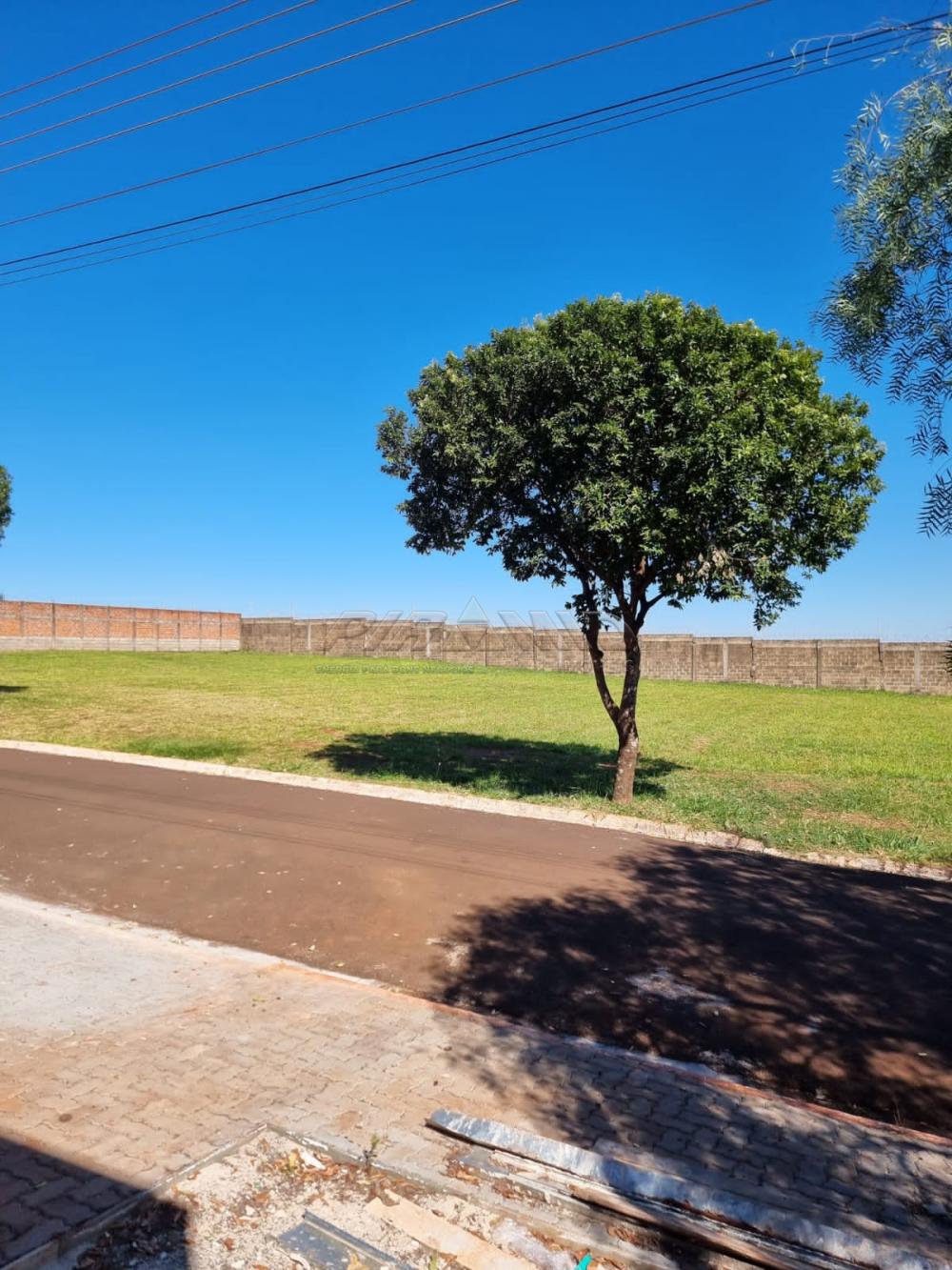 Comprar Terreno / Condom&iacute;nio em Cravinhos R$ 330.000,00 - Foto 3
