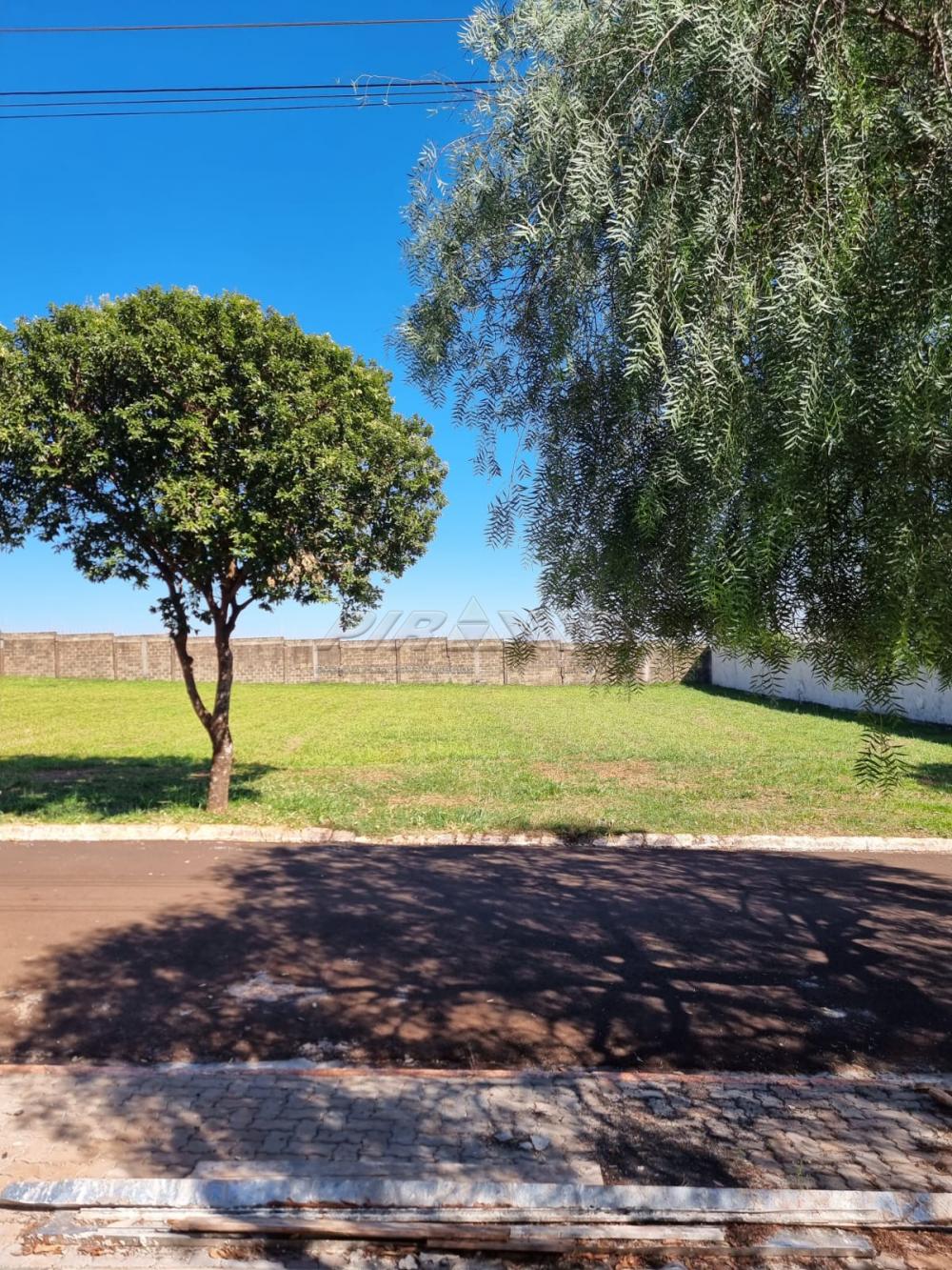 Comprar Terreno / Condom&iacute;nio em Cravinhos R$ 330.000,00 - Foto 6