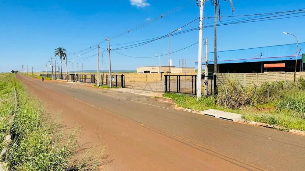 Alugar Comercial / Galp&atilde;o  Barrac&atilde;o em Ribeir&atilde;o Preto R$ 28.000,00 - Foto 3