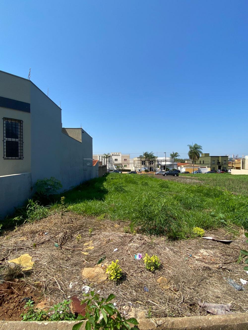 Comprar Terreno / Terreno em Ribeir&atilde;o Preto R$ 500.000,00 - Foto 2