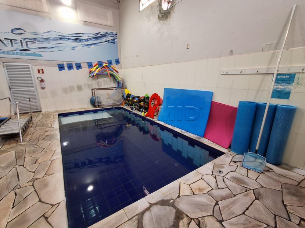 Comprar Comercial / Galp&atilde;o  Barrac&atilde;o em Ribeir&atilde;o Preto R$ 1.200.000,00 - Foto 4