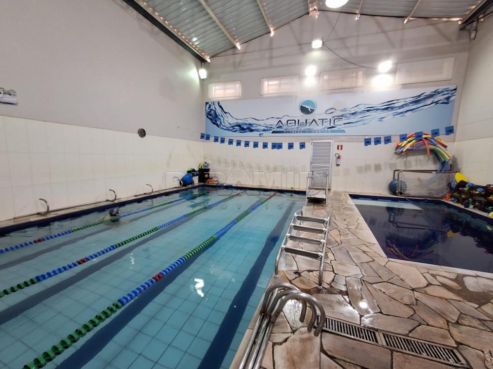 Comprar Comercial / Galp&atilde;o  Barrac&atilde;o em Ribeir&atilde;o Preto R$ 1.200.000,00 - Foto 7