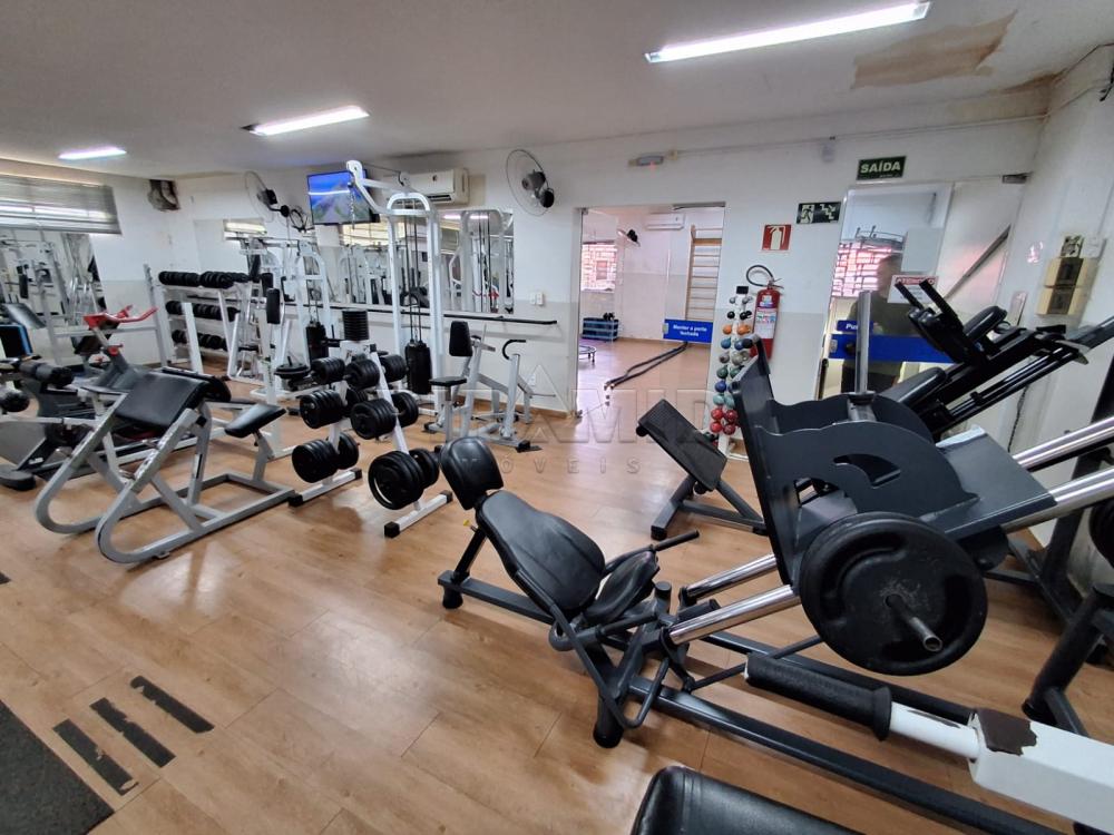 Comprar Comercial / Galp&atilde;o  Barrac&atilde;o em Ribeir&atilde;o Preto R$ 1.200.000,00 - Foto 16