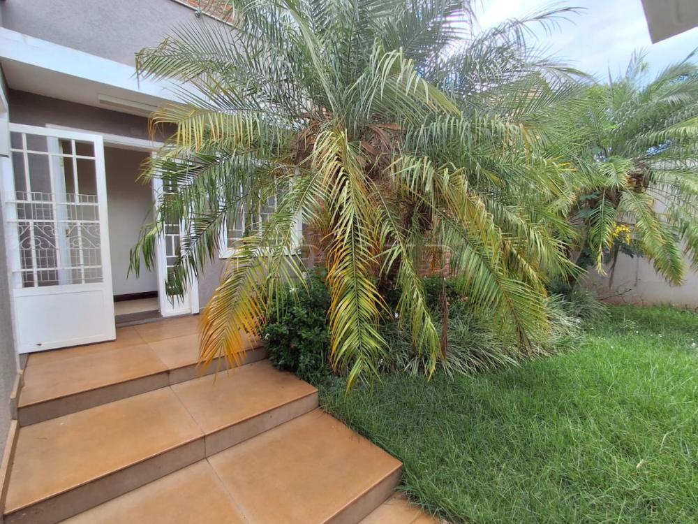 Alugar Casa / Padr&atilde;o em Ribeir&atilde;o Preto R$ 7.900,00 - Foto 1