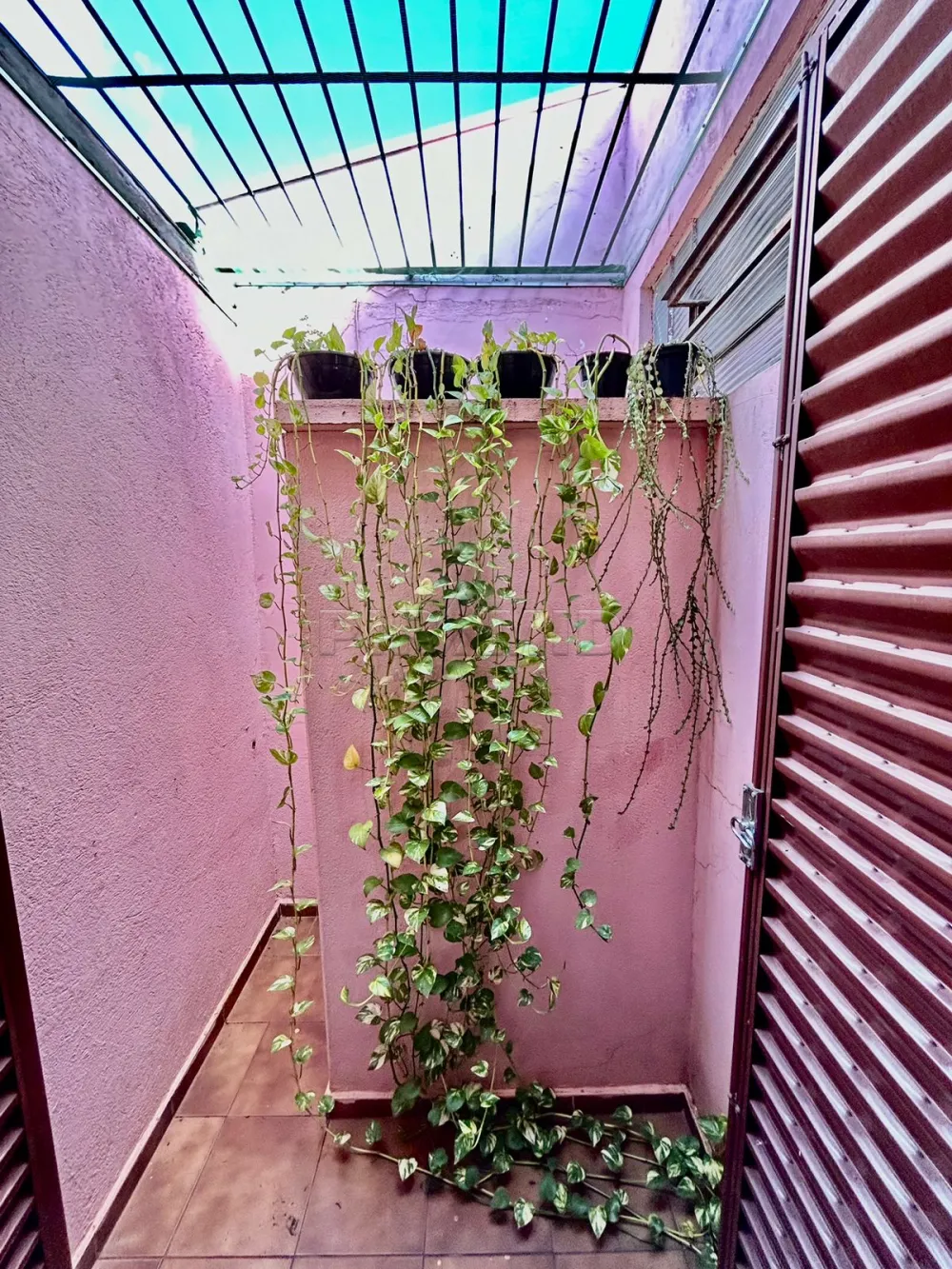 Comprar Casa / Padr&atilde;o em Ribeir&atilde;o Preto R$ 600.000,00 - Foto 19