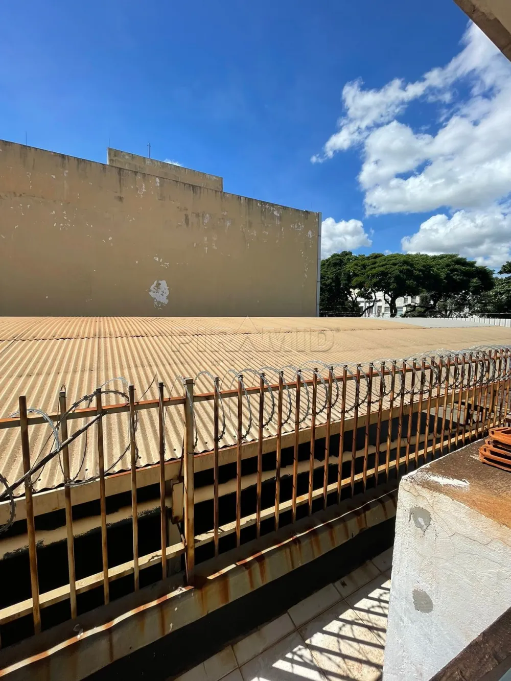 Alugar Comercial / Pr&eacute;dio em Ribeir&atilde;o Preto R$ 7.000,00 - Foto 28