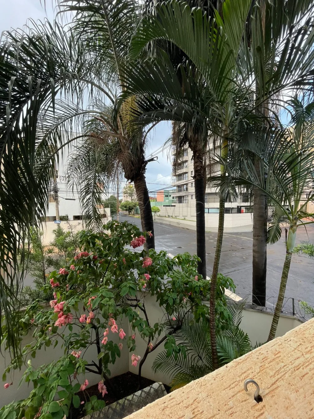 Alugar Apartamento / Padr&atilde;o em Ribeir&atilde;o Preto R$ 1.800,00 - Foto 9