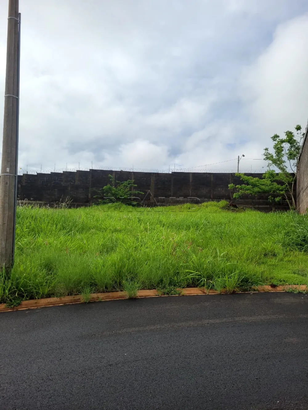 Comprar Terreno / Condom&iacute;nio em Bonfim Paulista R$ 479.000,00 - Foto 2