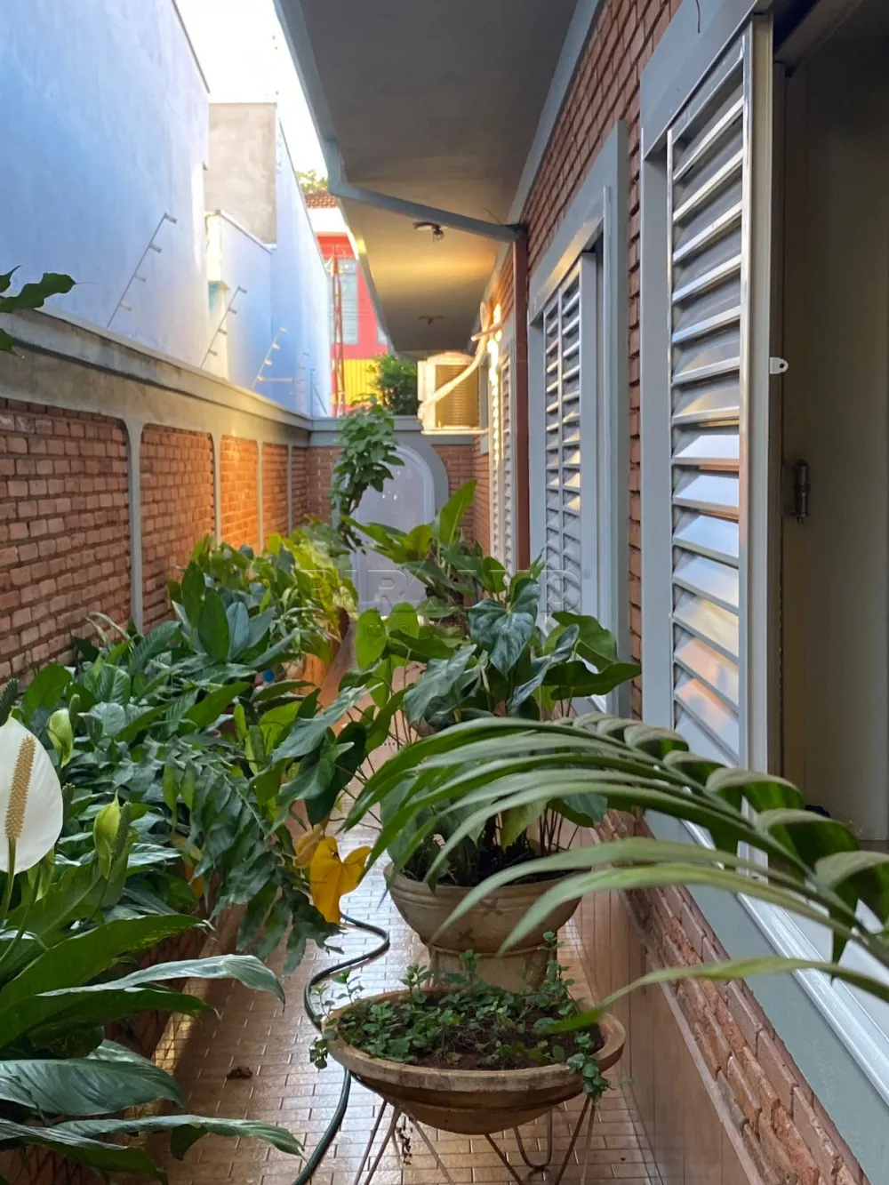 Comprar Casa / Padr&atilde;o em Jardin&oacute;polis R$ 1.200.000,00 - Foto 8