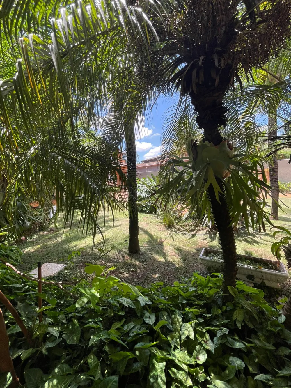 Comprar Casa / Condom&iacute;nio em Ribeir&atilde;o Preto R$ 3.100.000,00 - Foto 120