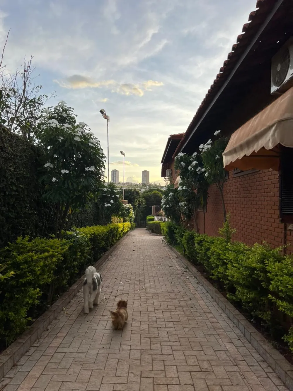 Comprar Casa / Condom&iacute;nio em Bonfim Paulista R$ 3.800.000,00 - Foto 36