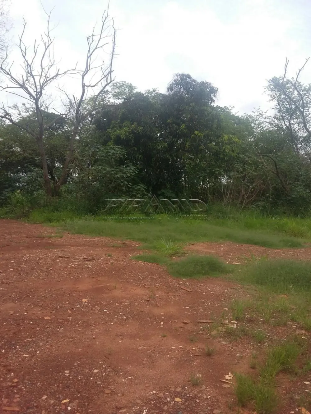 Ribeirão Preto Terreno Locacao R$ 132.000,00  Area do terreno 37556.25m2  - foto 3