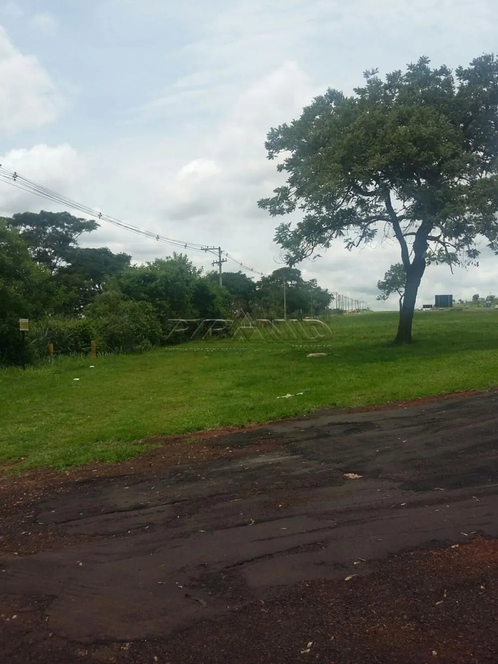 Ribeirão Preto Terreno Locacao R$ 132.000,00  Area do terreno 37556.25m2  - foto 4