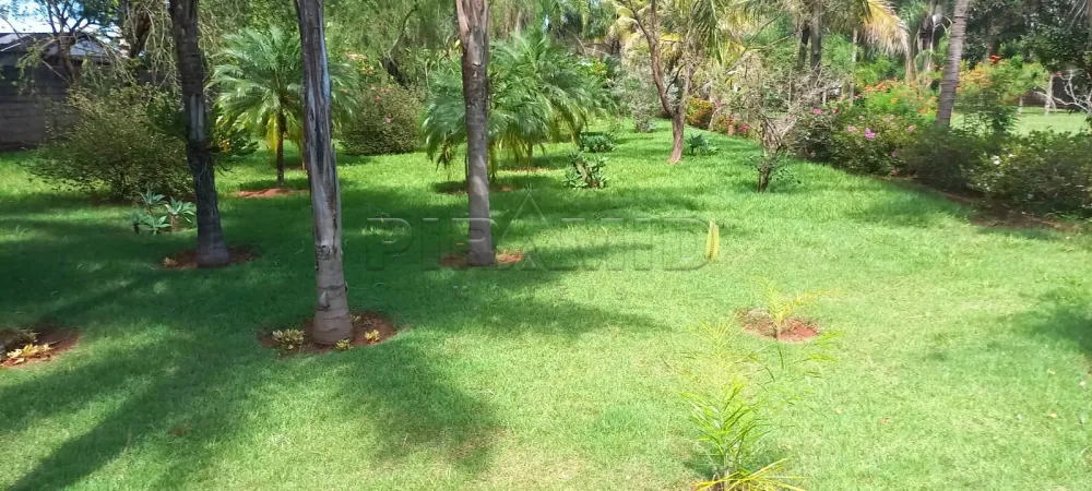 Comprar Rural / Ch&aacute;cara em Ribeir&atilde;o Preto R$ 1.100.000,00 - Foto 5