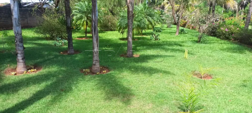 Comprar Rural / Ch&aacute;cara em Ribeir&atilde;o Preto R$ 1.100.000,00 - Foto 6