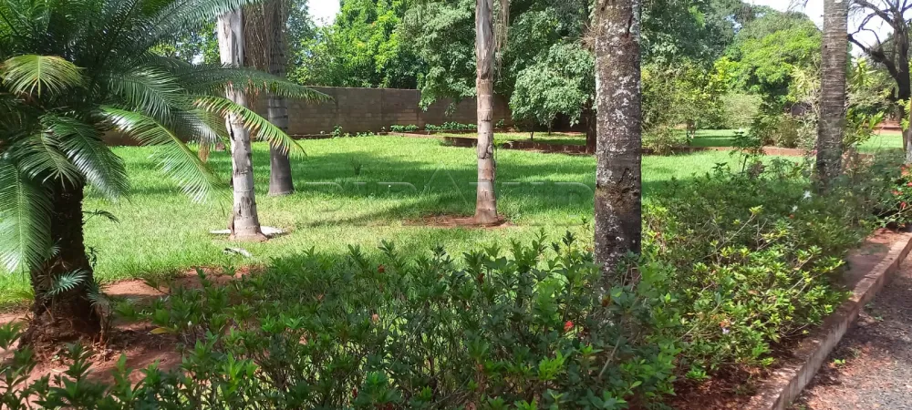 Comprar Rural / Ch&aacute;cara em Ribeir&atilde;o Preto R$ 1.100.000,00 - Foto 7