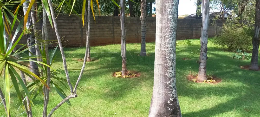 Comprar Rural / Ch&aacute;cara em Ribeir&atilde;o Preto R$ 1.100.000,00 - Foto 4