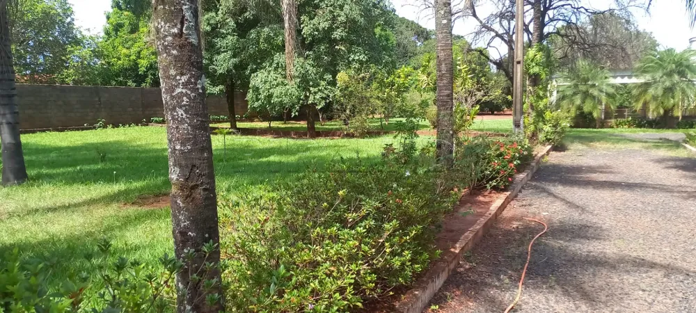 Comprar Rural / Ch&aacute;cara em Ribeir&atilde;o Preto R$ 1.100.000,00 - Foto 8