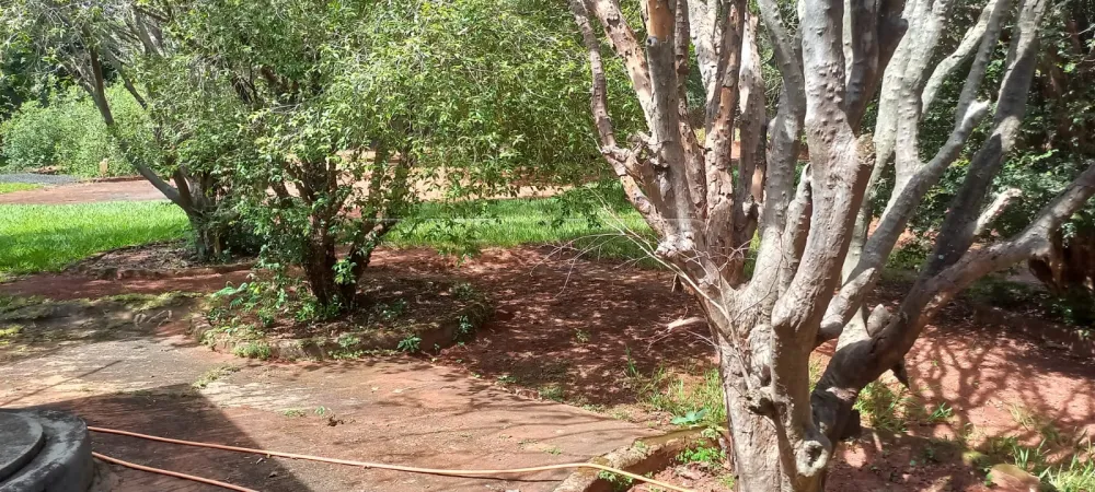 Comprar Rural / Ch&aacute;cara em Ribeir&atilde;o Preto R$ 1.100.000,00 - Foto 19