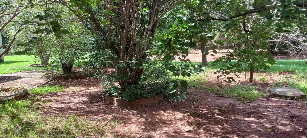 Comprar Rural / Ch&aacute;cara em Ribeir&atilde;o Preto R$ 1.100.000,00 - Foto 37