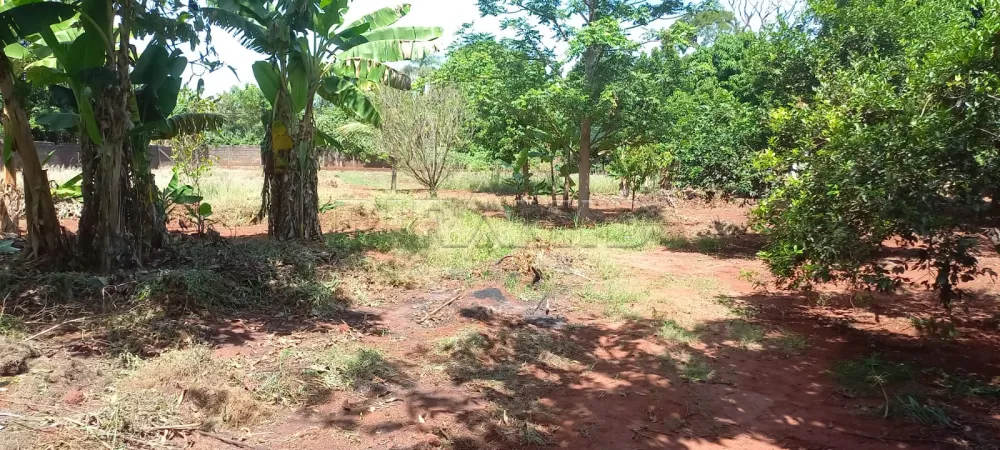 Comprar Rural / Ch&aacute;cara em Ribeir&atilde;o Preto R$ 1.100.000,00 - Foto 41